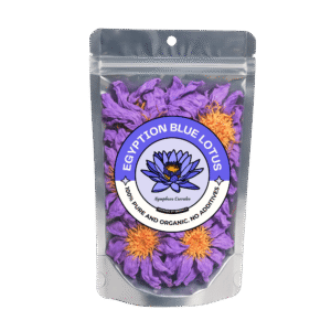 Egyptian Blue Lotus